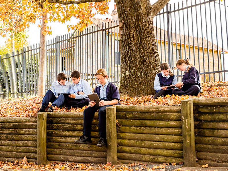 Top Catholic Primary School Our Lady of the Nativity