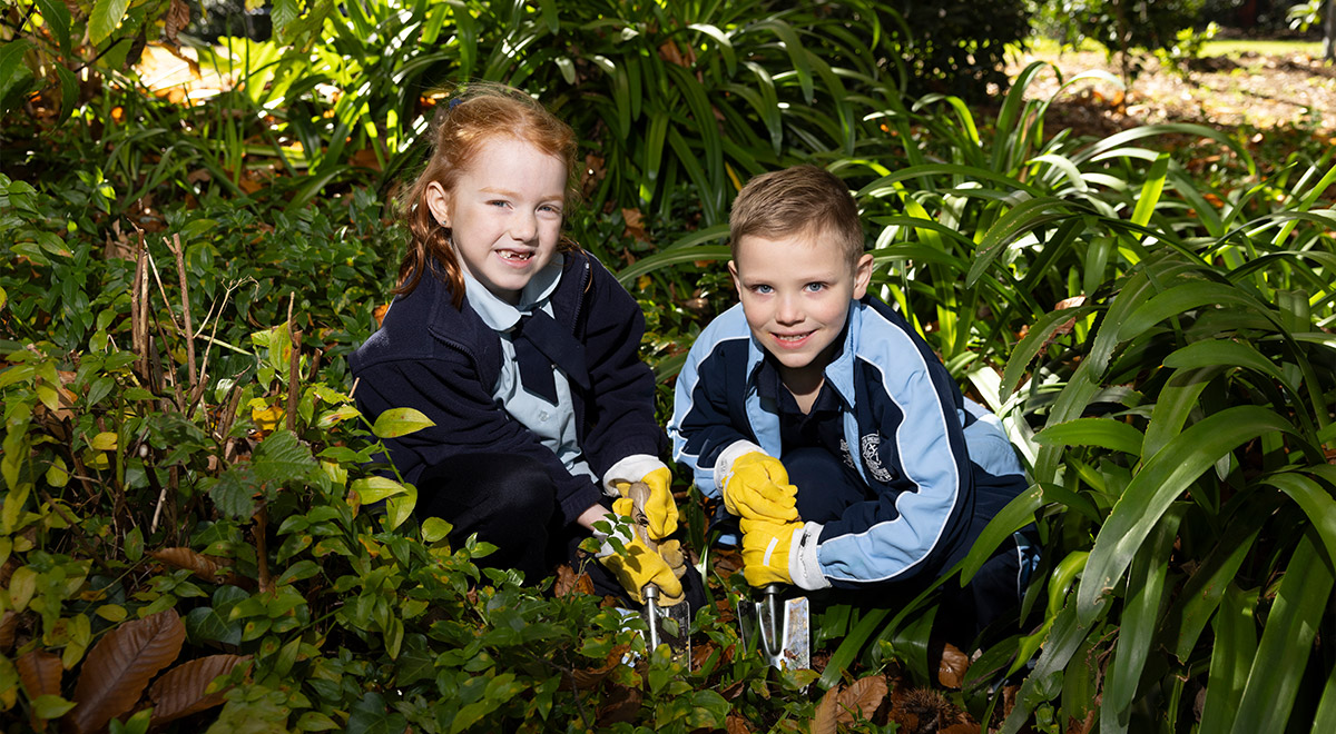 M. Urban-Swift (Parent)