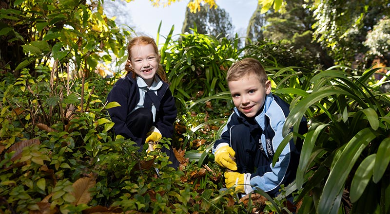 OLN Lawson Students gardening