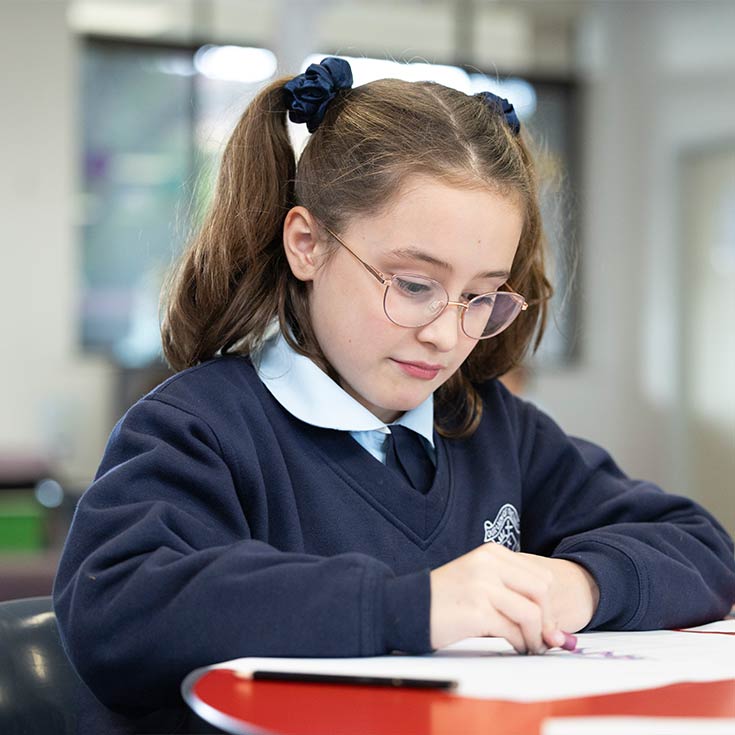 Our Lady of the Nativity Primary Lawson student in class