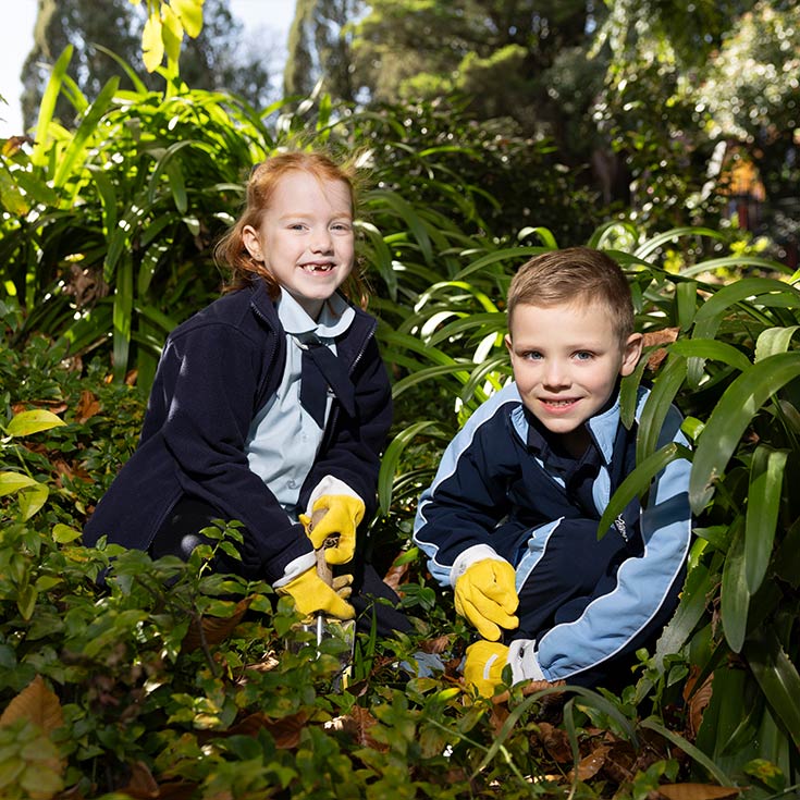 Our Lady of the Nativity Lawson students gardening