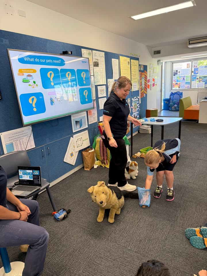 525045016300196_1458898079581547-1