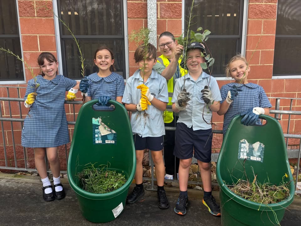 525045016300196_1563675412437146-1