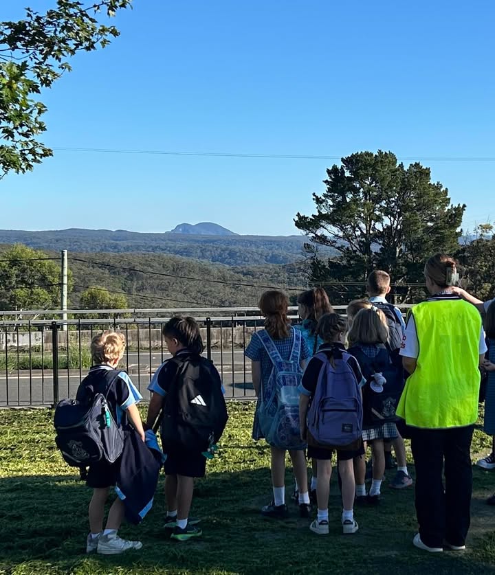 525045016300196_1567170518754302-1