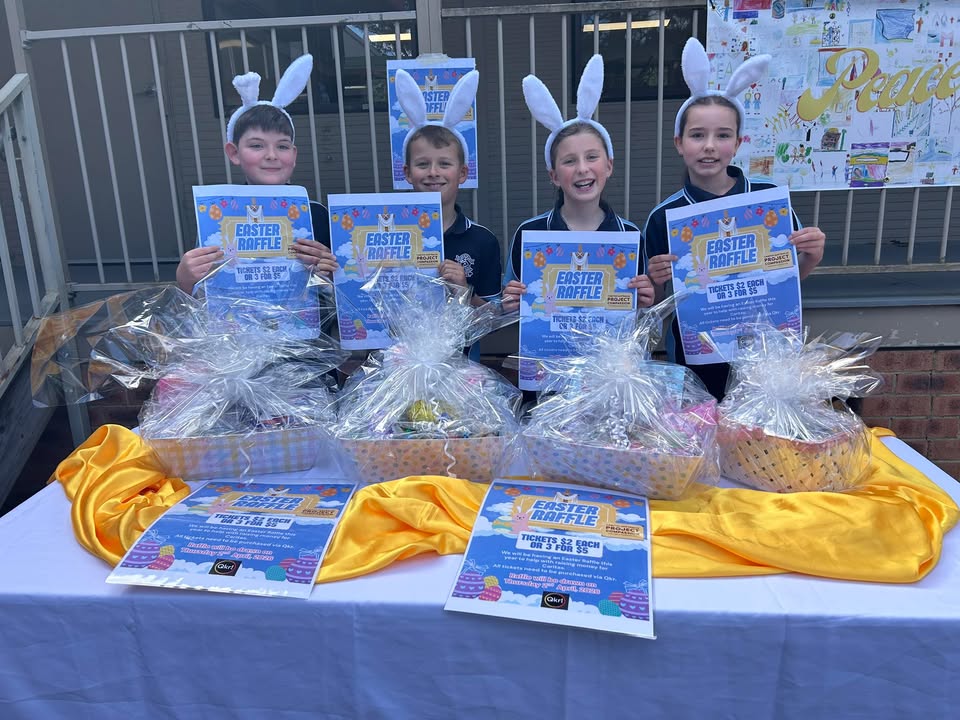 525045016300196_1585092823628738-1