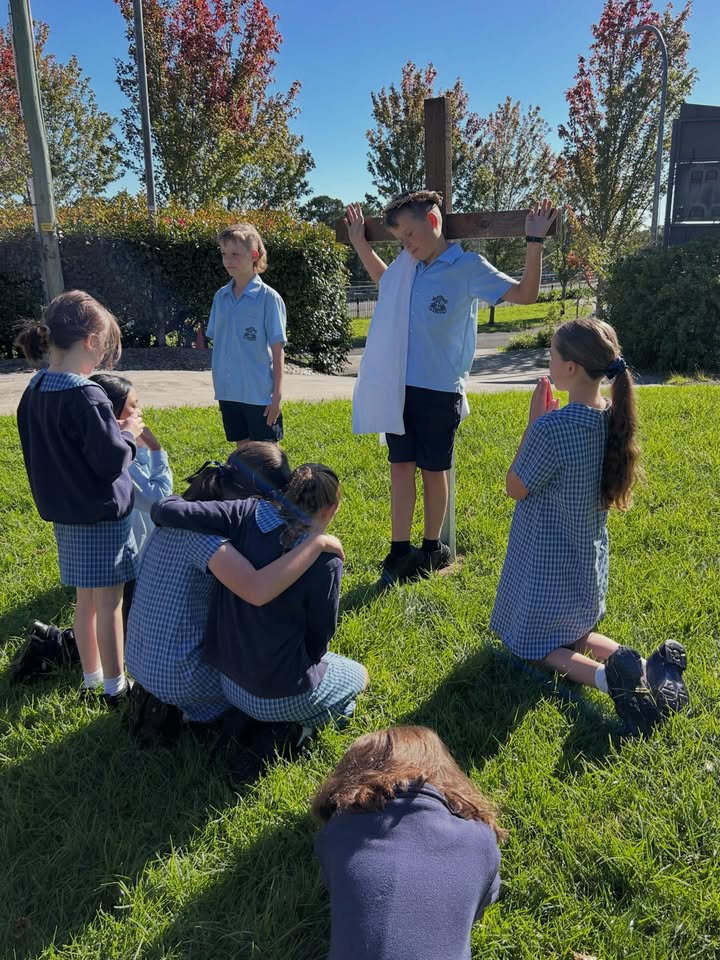 525045016300196_1586809926790361-1