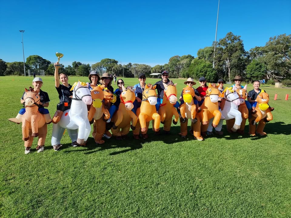 525045016300196_1665478375590182-1